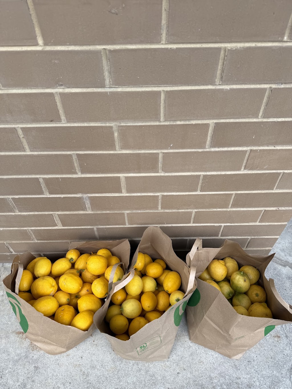 OrKID Mix | 295 Woodleigh-st Helier Rd, The Gurdies VIC 3984, Australia | Phone: 0449 992 236