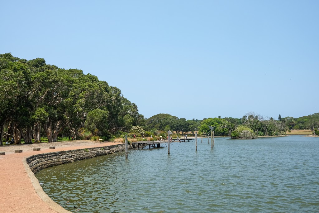 centennial park | Centennial Park NSW 2021, Australia