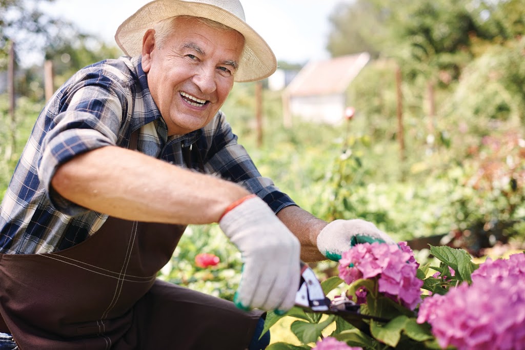 Benetas Kilby House Day Centre | 23 York St, Glenroy VIC 3046, Australia | Phone: 1300 236 382