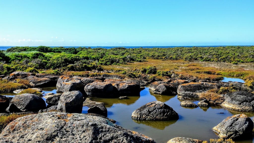 Jawbone Flora and Fauna Reserve | 29 Sandpiper Pl, Williamstown VIC 3016, Australia | Phone: 13 19 63