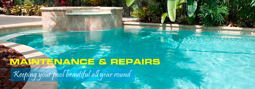 No Limit Pool Services | 21 Mangrove Ln, Taren Point NSW 2229, Australia | Phone: 0421 246 946