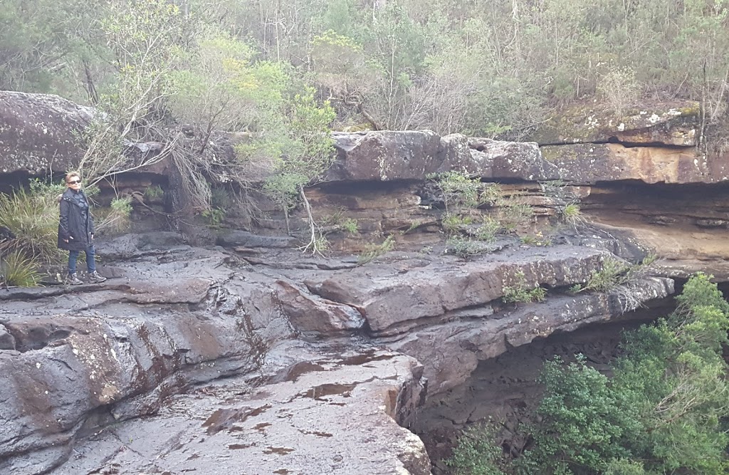 Parma Creek Nature Reserve | park | Yerriyong NSW 2540, Australia