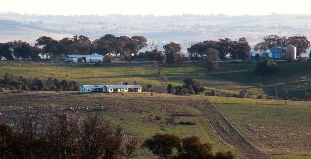 Enviroganic Farm | 300 Milo Rd, Murringo NSW 2586, Australia | Phone: (02) 6384 6384