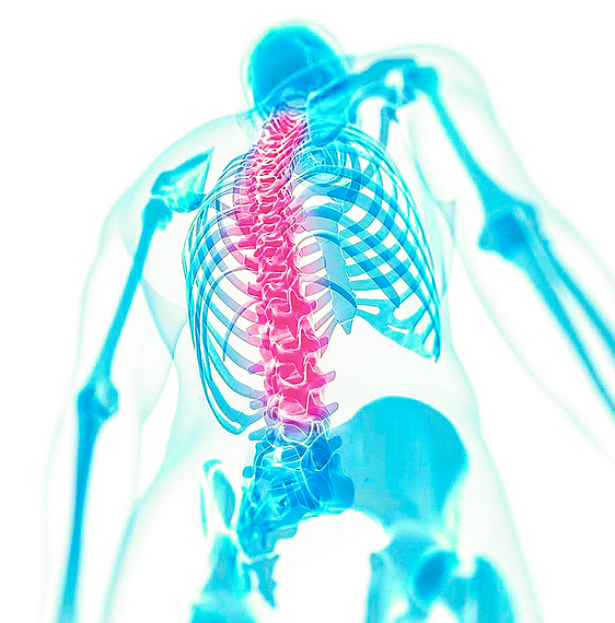 Spinal Symmetry | health | 263 Soldiers Point Rd, Soldiers Point NSW 2317, Australia | 0249191500 OR +61 2 4919 1500