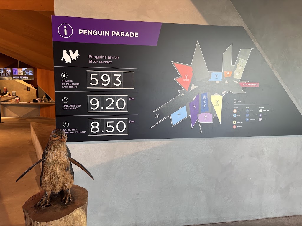 Penguin Parade Visitor Centre | 1019 Ventnor Rd, Summerlands VIC 3922, Australia | Phone: (03) 5951 2830