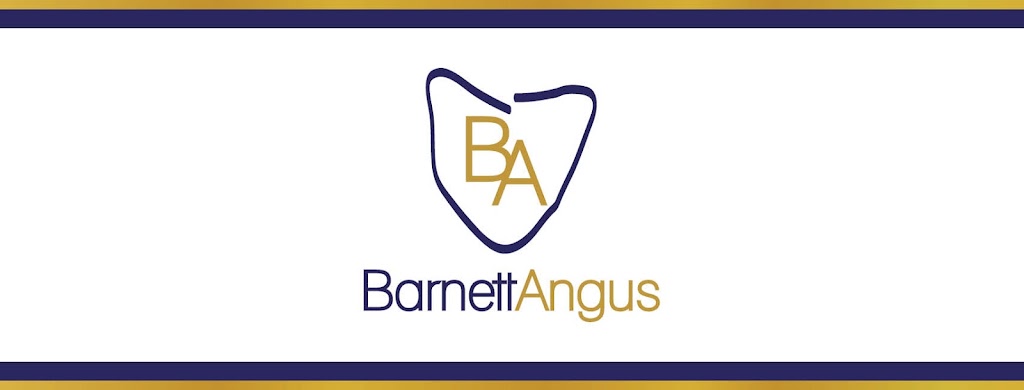 Barnett Angus | 821 Black Hills Rd, Westbury TAS 7303, Australia | Phone: 0409 023 140