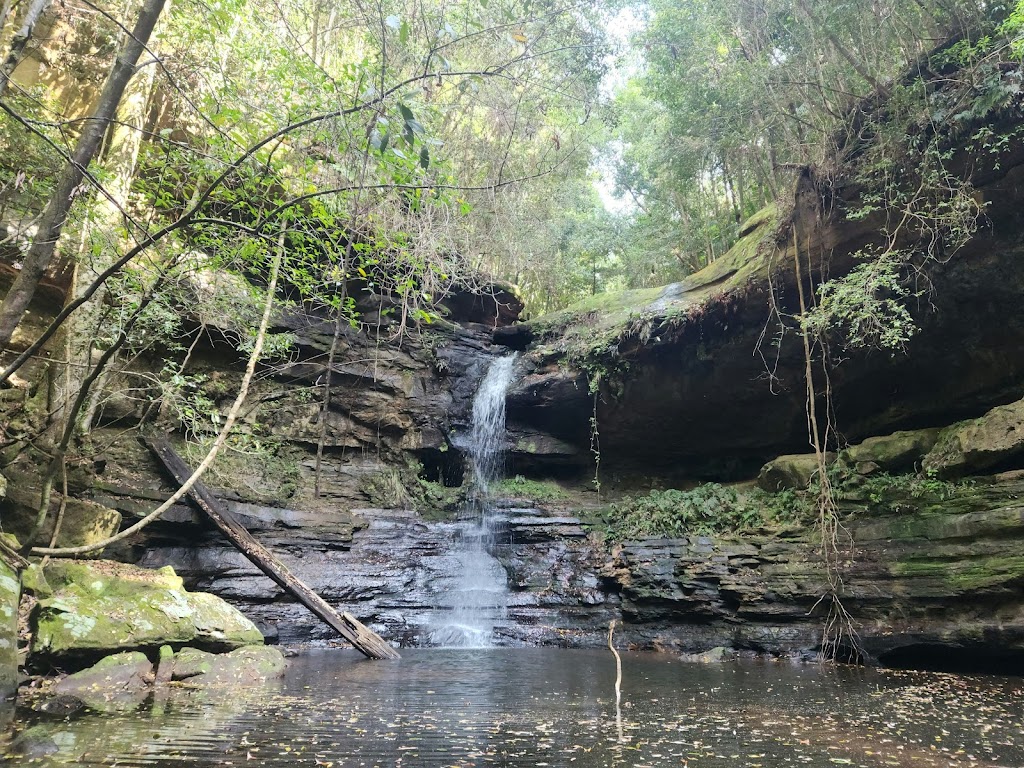 Olney State Forest | Olney NSW 2325, Australia | Phone: (02) 9872 0111