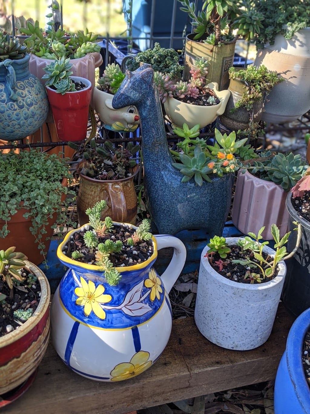 Jennies Garden Shop | 64 Emu Rd, Glenbrook NSW 2773, Australia