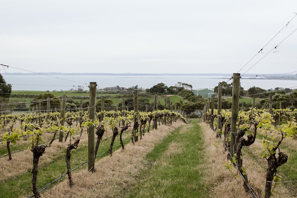 Silverwaters Vineyard | 215 Phillip Island Rd, San Remo VIC 3925, Australia | Phone: 0402 619 377