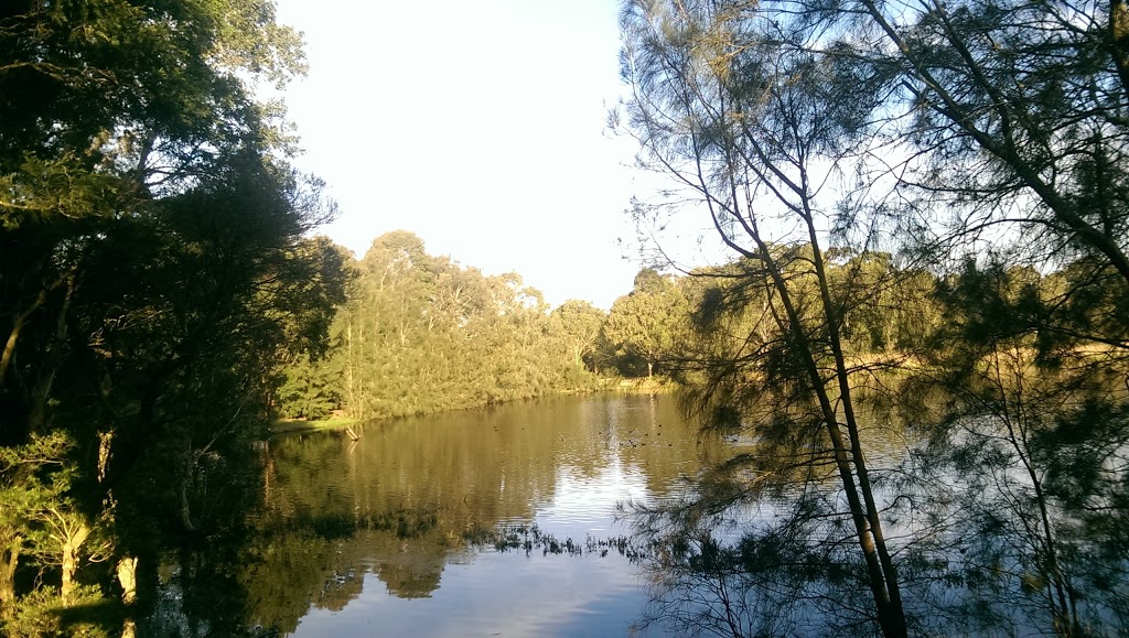 Hunter Wetlands Centre Australia | 1 Wetlands Pl, Shortland NSW 2307, Australia | Phone: (02) 4951 6466