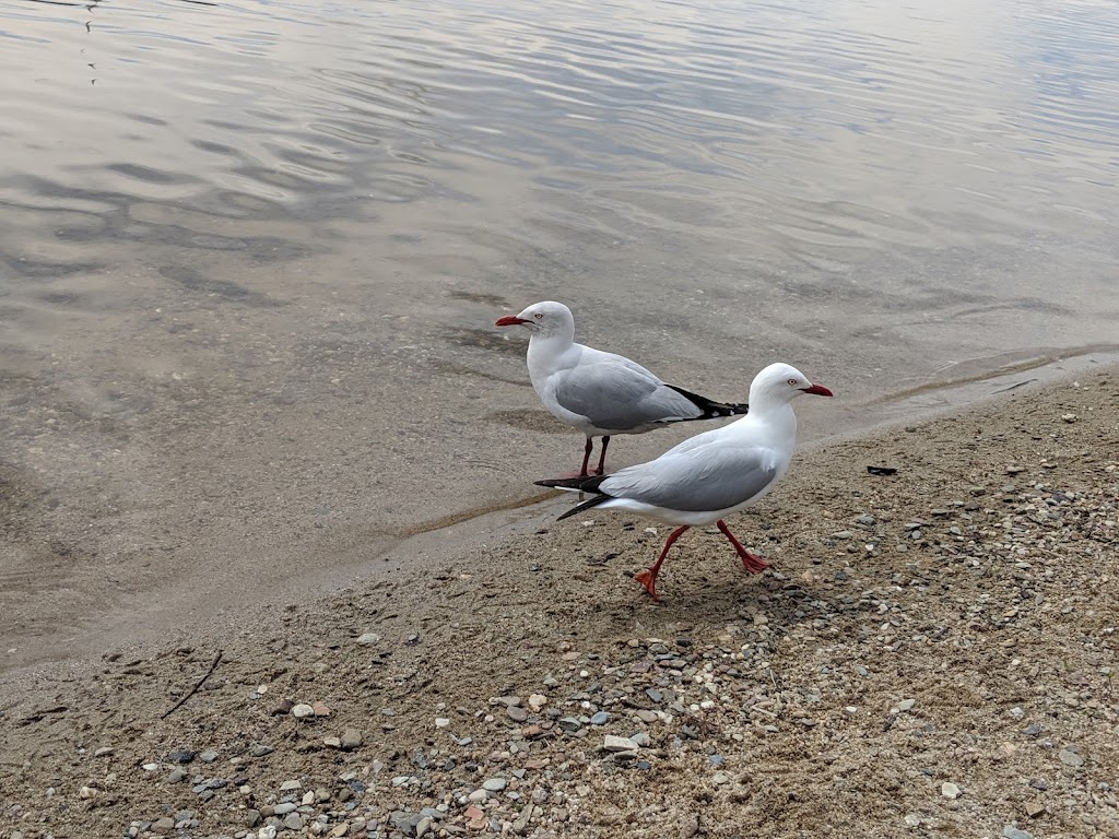 Yarralumla Beach |  | Yarralumla ACT 2600, Australia | 0262712888 OR +61 2 6271 2888