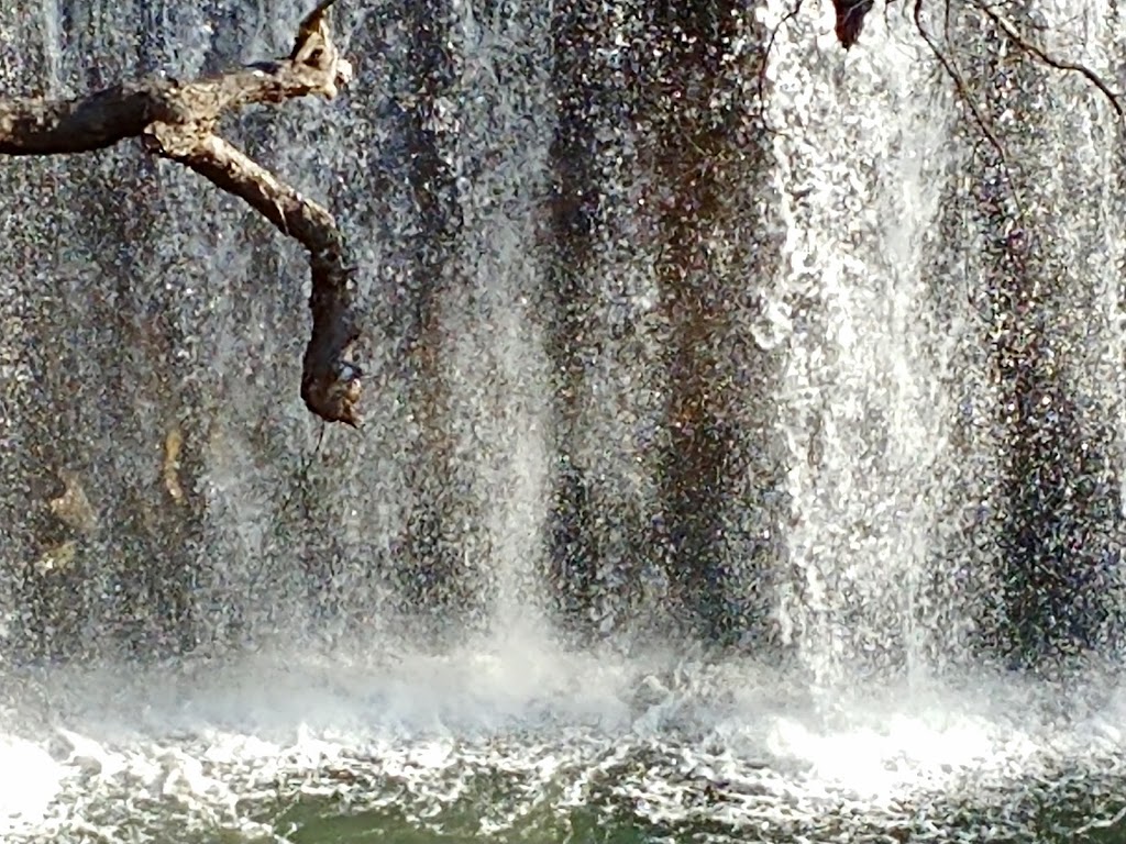 Big Millstream Falls | tourist attraction | Ravenshoe QLD 4888, Australia | 0740977700 OR +61 7 4097 7700