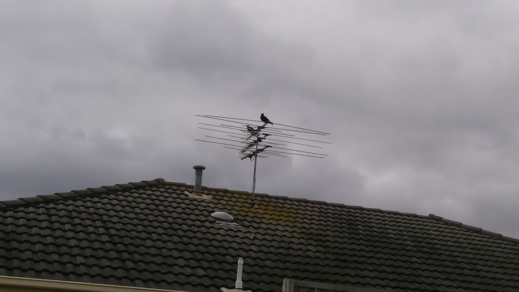 Antenna IQ | 13 Sarakos Cct, Wangaratta VIC 3690, Australia | Phone: 0427 004 604