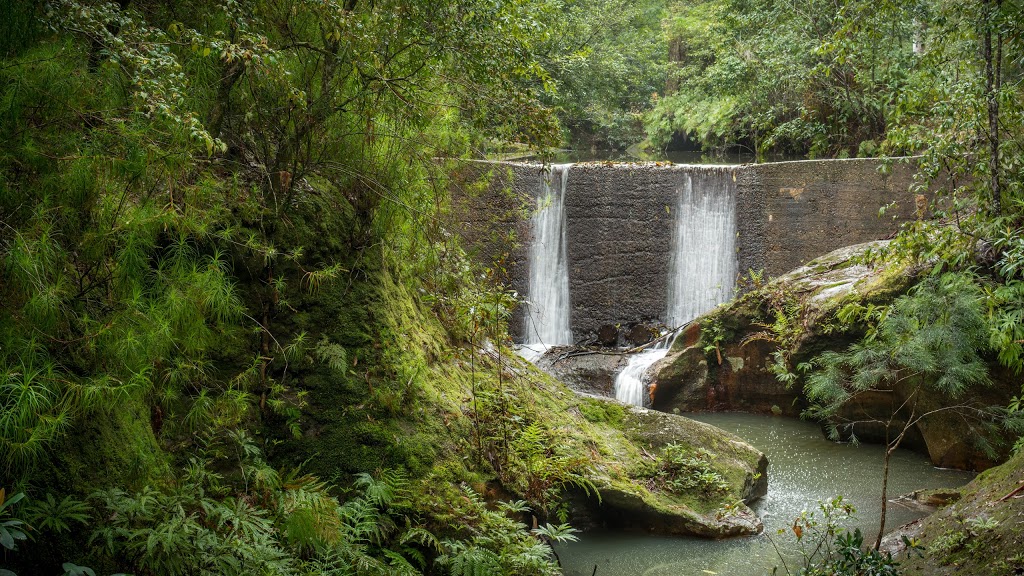 Watagans National Park | Mount Faulk Rd, Cooranbong NSW 2265, Australia | Phone: (02) 4972 9000