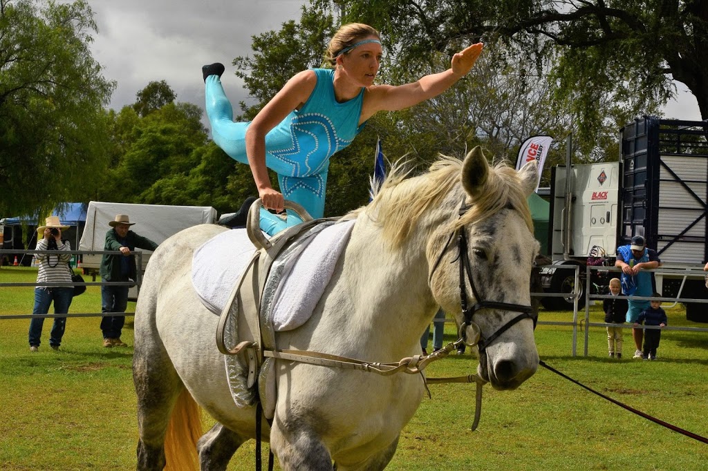 Kamilaroi Equestrian Centre |  | 247 Kanes Rd, Round Mountain NSW 2484, Australia | 0409122109 OR +61 409 122 109