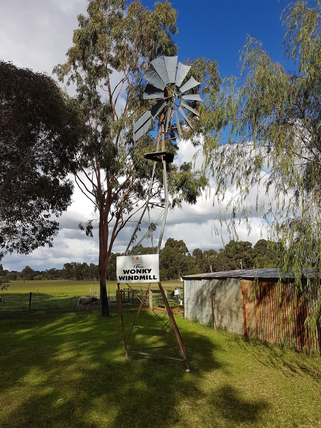 Wonky Windmill Farm | 218 Yelverton N Rd, Yelverton WA 6280, Australia | Phone: (08) 9755 7201