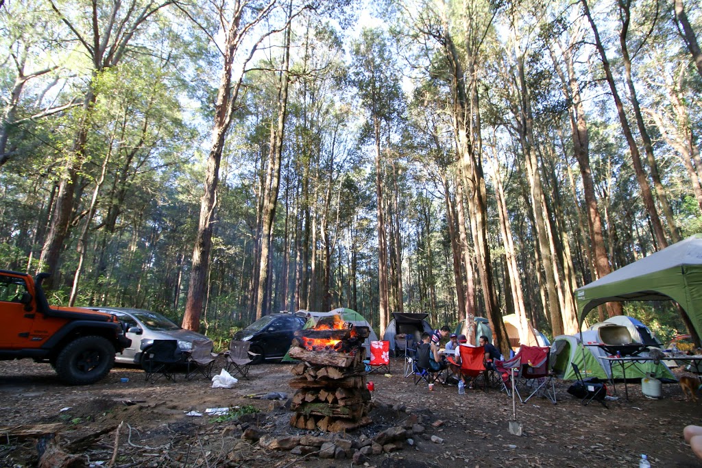 Casuarina Camping Area | Martinsville NSW 2265, Australia
