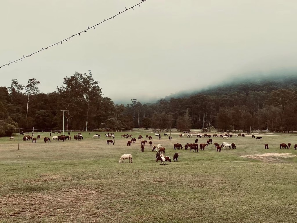 Simple Pleasures Camping Co. | 112 Addison Rd, Manly NSW 2095, Australia | Phone: 0434 107 246