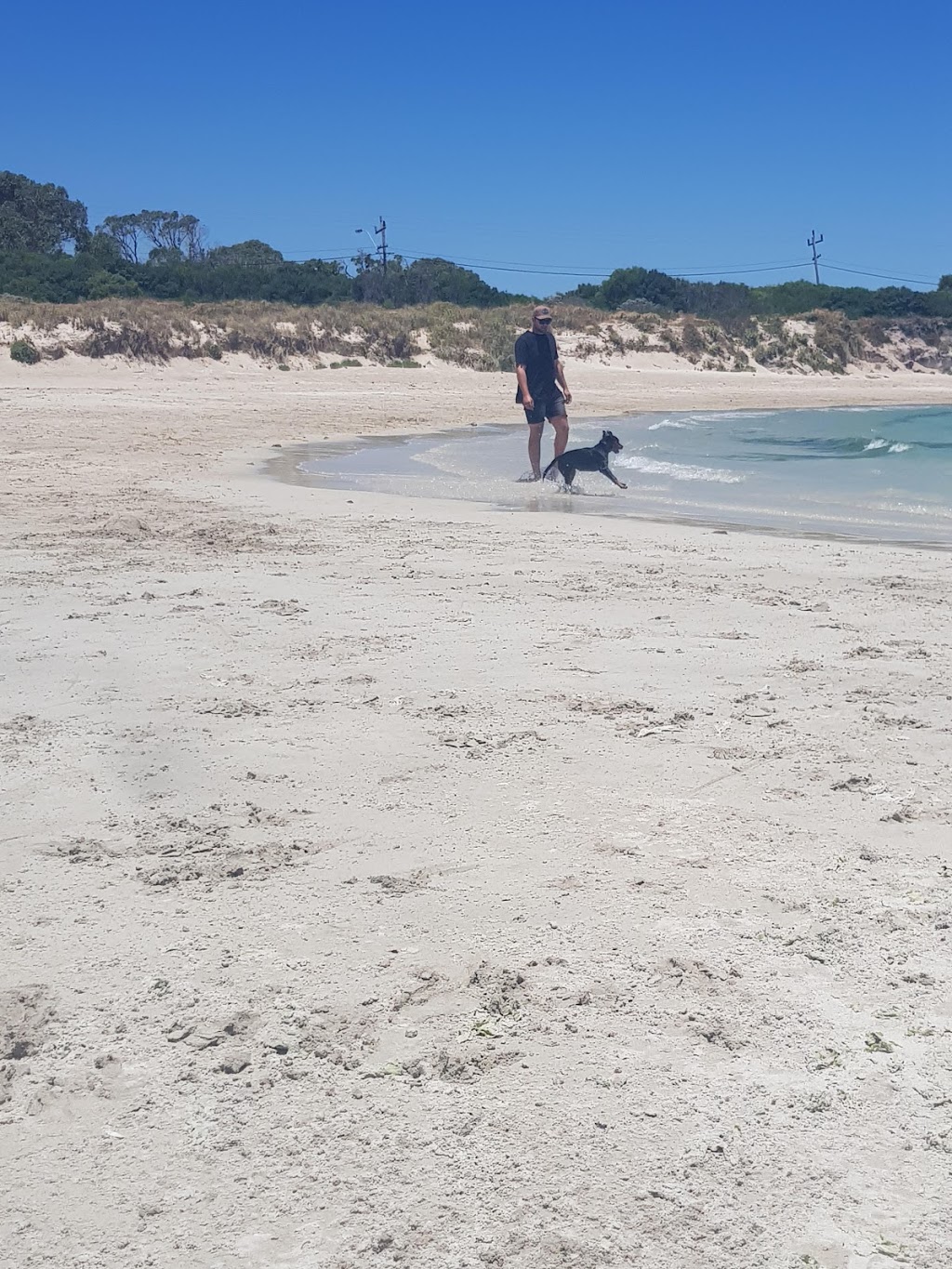 Kwinana Dog Beach | park | Kwinana Beach WA 6167, Australia