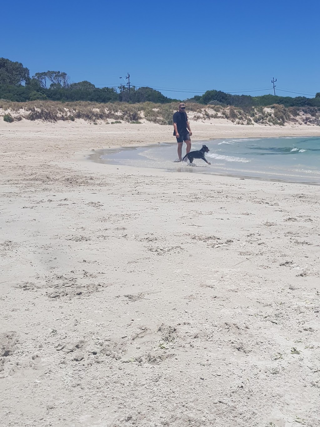 Kwinana Dog Beach | Kwinana Beach WA 6167, Australia