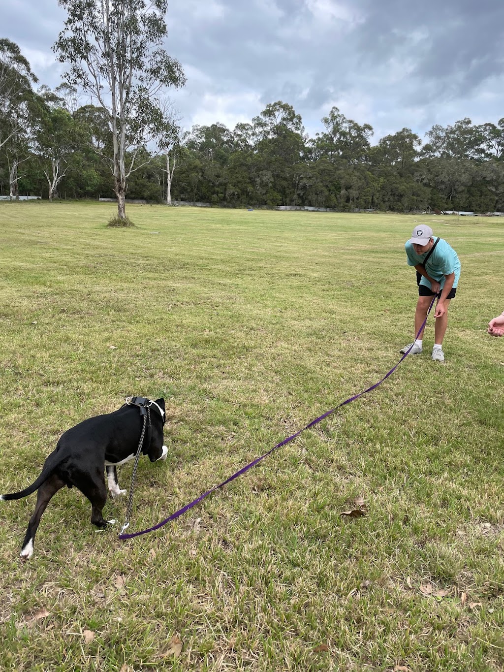 Happy Paws Happy Hearts | Wonnarua Country, Hunter Valley Animal Facility and Rehoming Centre, 1 Neath Rd, Neath NSW 2326, Australia | Phone: 1300 077 984
