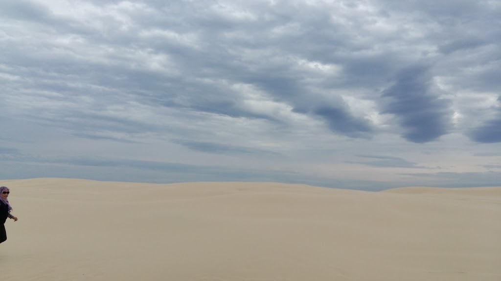 안나 베이 모래 사막 | Anna Bay NSW 2316, Australia