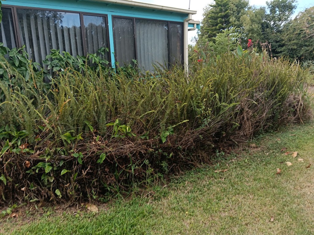 Essential Scotty Pty Ltd | Ryries Rd, Lawrence NSW 2460, Australia | Phone: 0459 419 420