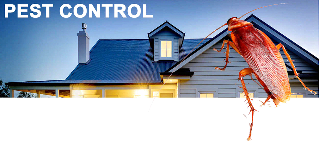 Tahmoor Pest Control | home goods store | 14 Hudson Pl, Bargo NSW 2574, Australia | 0412286180 OR +61 412 286 180