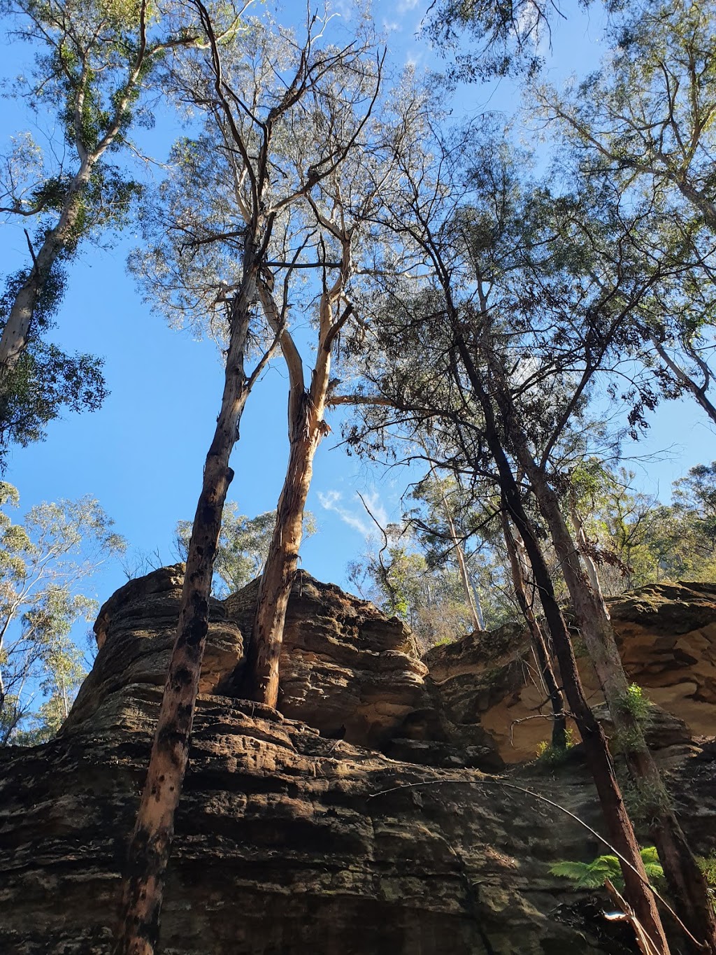 Glowworm Tunnel Parking | parking | Glowworm Tunnel Rd, Newnes Plateau NSW 2790, Australia