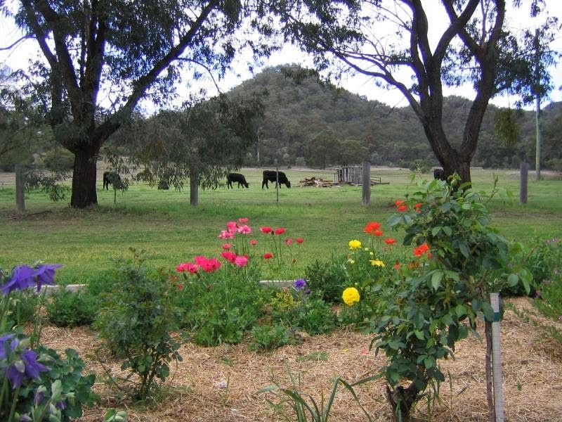 Kerrabee Homestead Guesthouse | 3179 Bylong Valley Way, Kerrabee NSW 2328, Australia | Phone: (02) 6547 5155