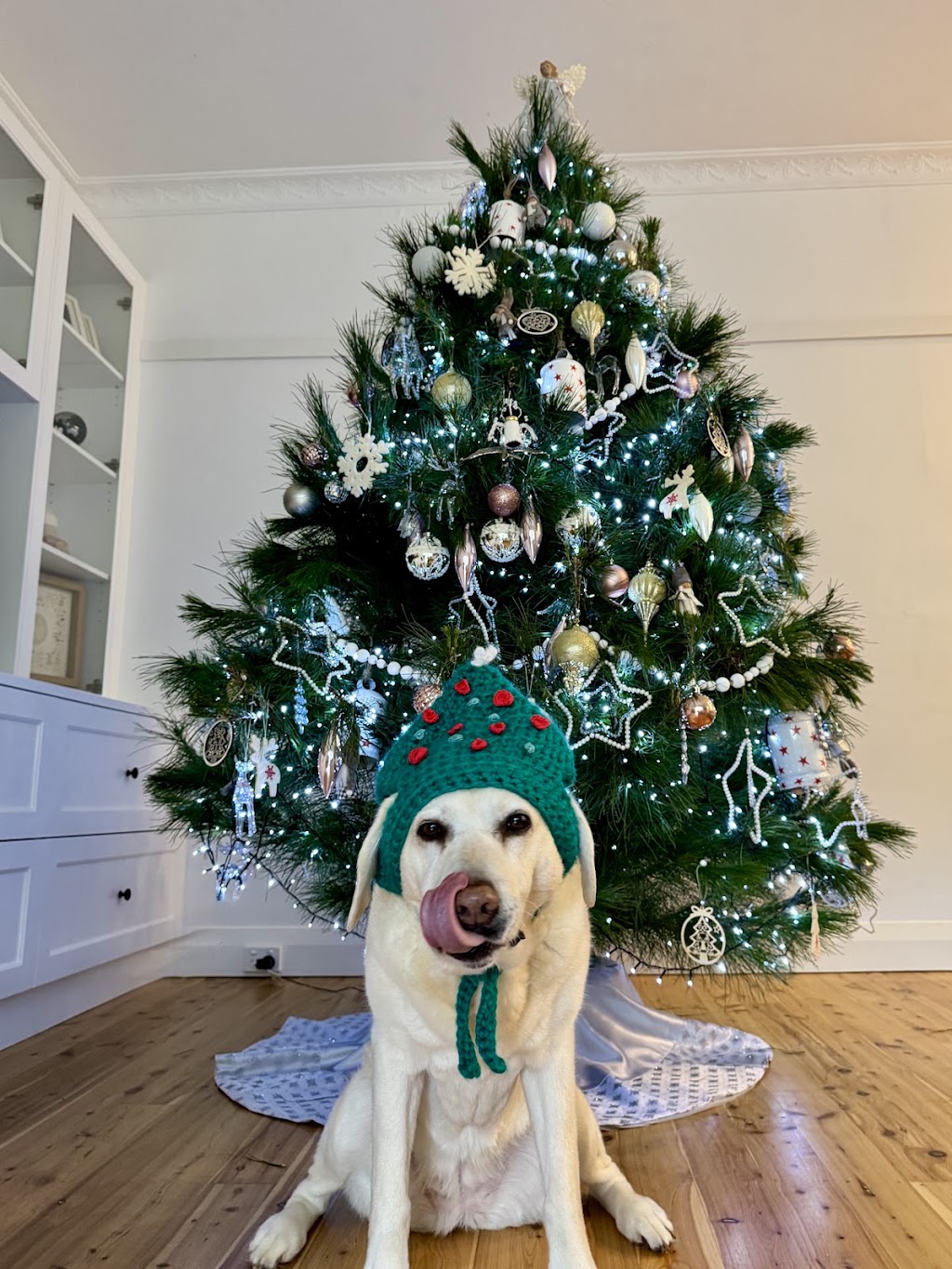 Tilba Farm XMAS Trees | Sherringham Ln, Central Tilba NSW 2546, Australia | Phone: 0411 198 944