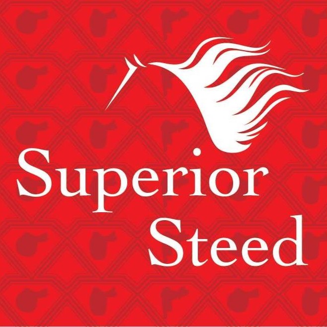 Superior Steed Saddle Fitting | 3728 Remembrance Dr, Bargo NSW 2574, Australia | Phone: 0423 884 780