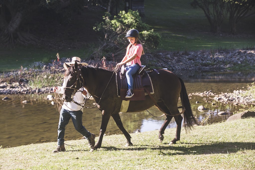 Equestrian Me - Rivermill Riding Academy | 950 Beaudesert Nerang Rd, Mount Nathan QLD 4211, Australia | Phone: (07) 3703 1307