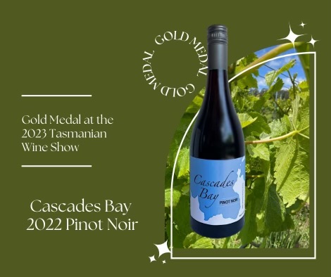 Cascades Bay Wines | 35 Shelly Beach Rd, Koonya TAS 7187, Australia | Phone: 0417 382 680