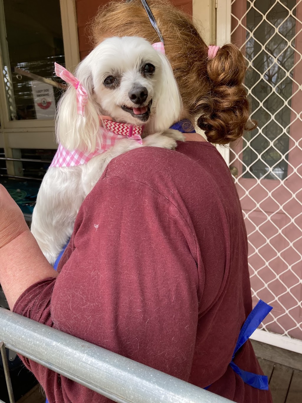 Floofy Dog grooming | 70 Lexton Rd, Strathfieldsaye VIC 3551, Australia | Phone: 0460 879 596