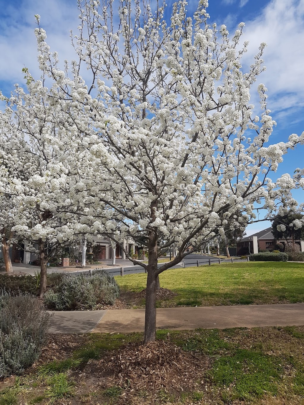 Fielding Park | park | Harriers St, Mernda VIC 3754, Australia | 0394010539 OR +61 3 9401 0539