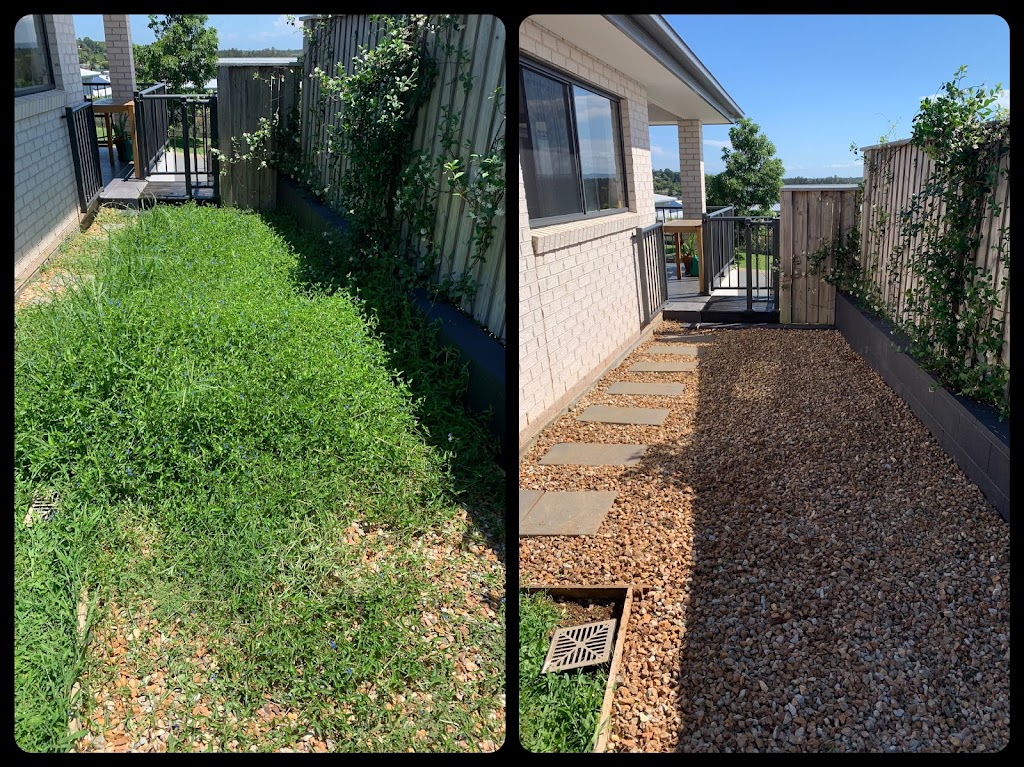 Viriditas Gardens | 1141A Main Arm Rd, Upper Main Arm NSW 2482, Australia | Phone: 0402 089 573