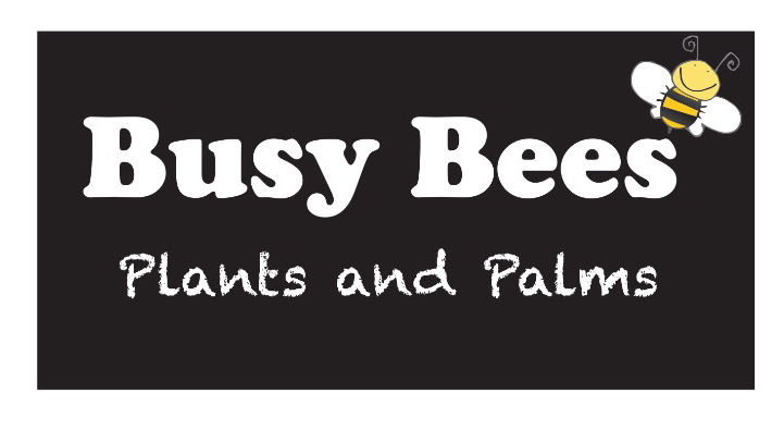 Busy Bees Plants and Palms | general contractor | 848 Conway Rd, Palm Grove QLD 4800, Australia | 0749473520 OR +61 7 4947 3520