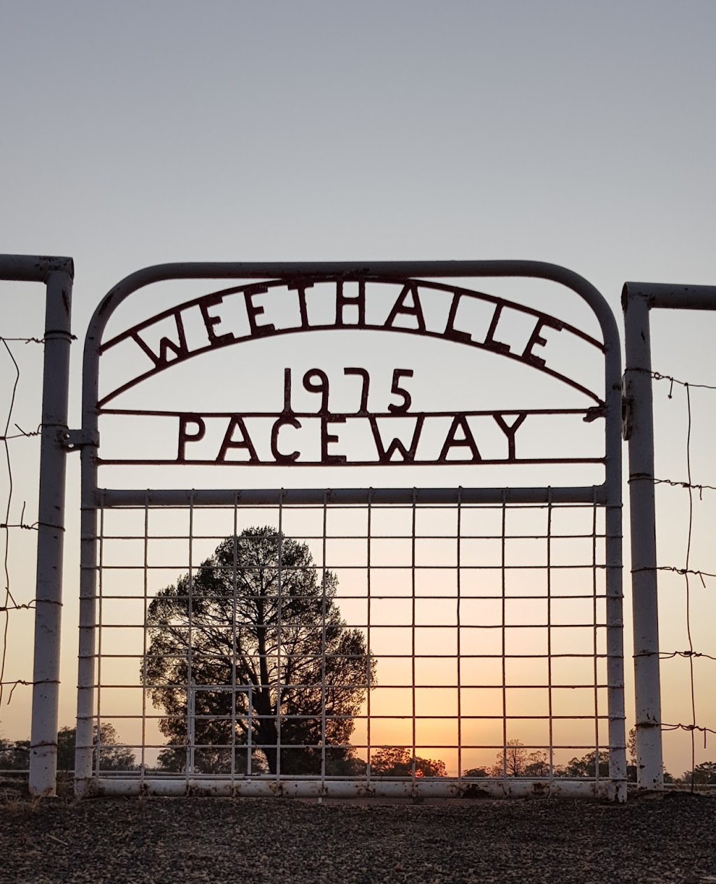Weethalle Showgrounds Campsite | lodging | Weethalle NSW 2669, Australia | 0437756176 OR +61 437 756 176