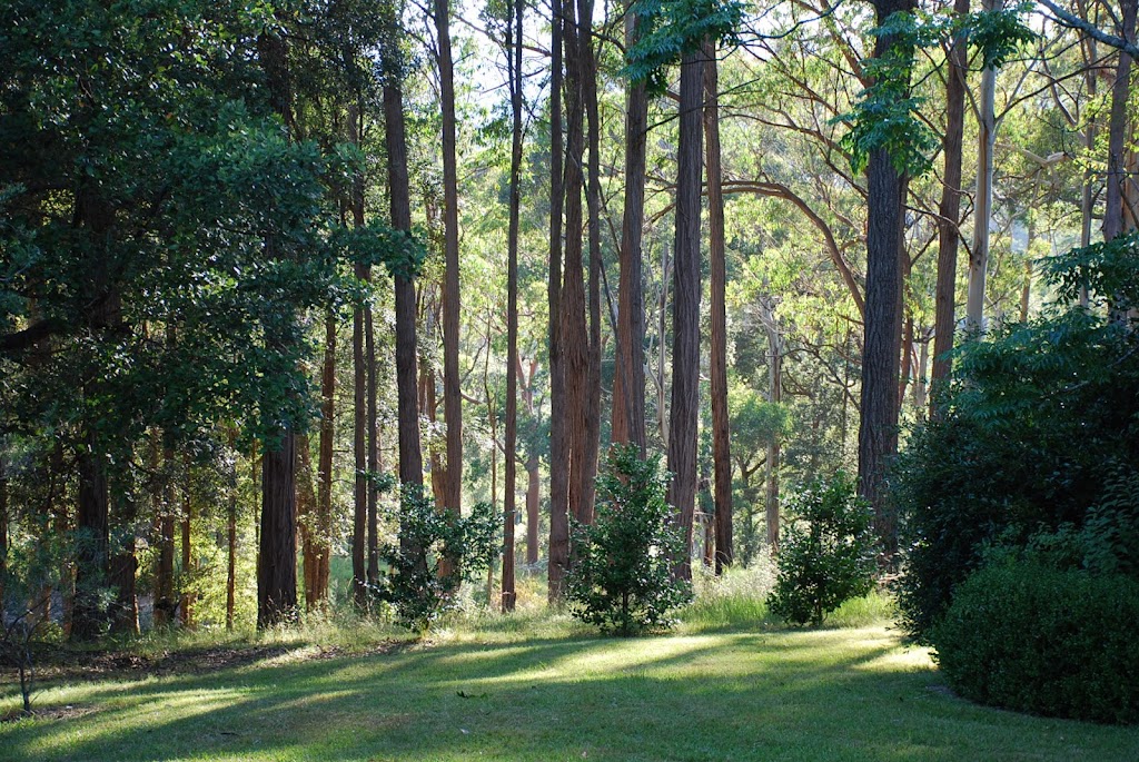 Wildside Sanctuary | 32 Bean Ln, Mountain Lagoon NSW 2758, Australia | Phone: (02) 4567 1074