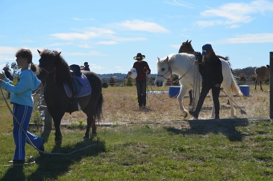 Seven Keys Horsemanship Macedon Ranges | point of interest | Institute Rd, Carlsruhe VIC 3442, Australia | 0429031395 OR +61 429 031 395