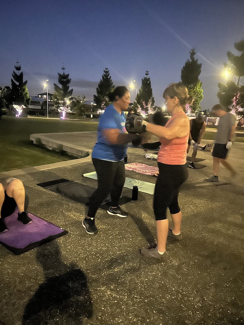 Unique physique southside | Opal Rd, Greenbank QLD 4124, Australia | Phone: 0432 333 767