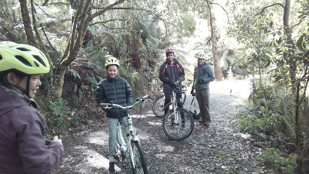 Otway e bikes | tourist attraction | Inside Bimbi Park, 90 Manna Gum Dr, Cape Otway VIC 3233, Australia | 0413971736 OR +61 413 971 736