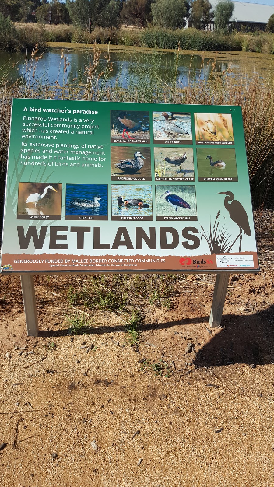 Pinnaroo Wetlands | park | 8 Mallee Hwy, Pinnaroo SA 5304, Australia