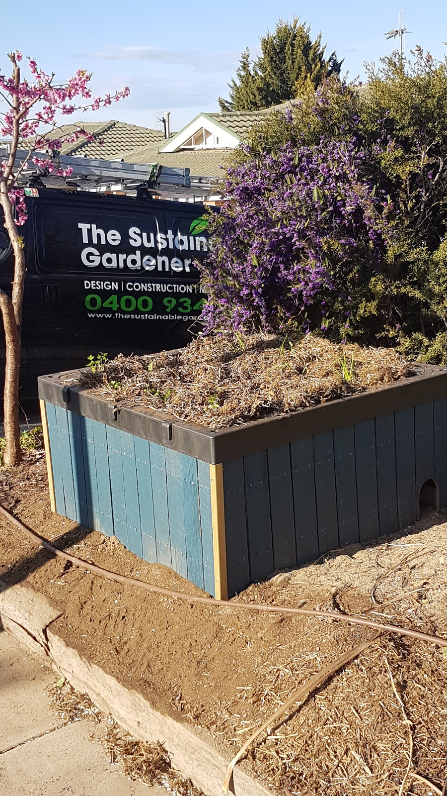 The Sustainable Gardener | 123 Jabanungga Ave, Ngunnawal ACT 2913, Australia | Phone: 0400 934 386