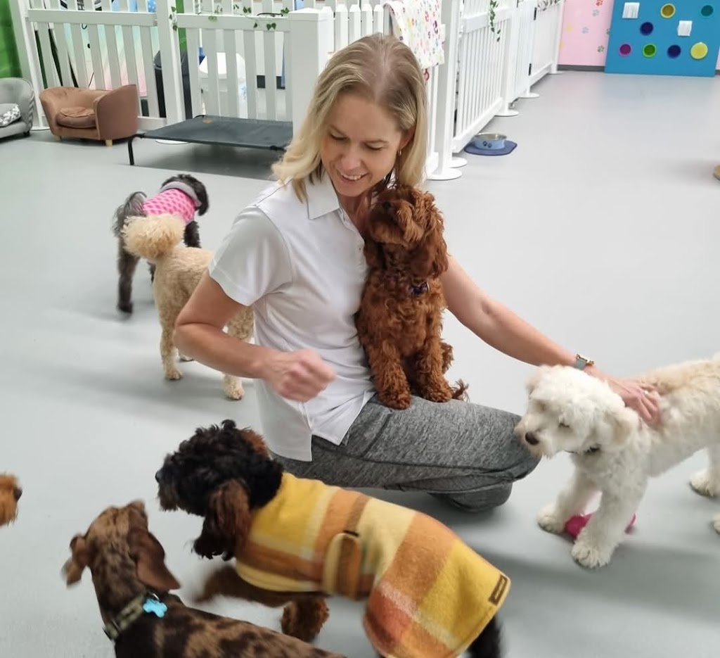 Simply Paws Daycare For Dogs | 1/13 Yandina Rd, West Gosford NSW 2250, Australia | Phone: 0415 838 082