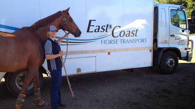 East Coast Horse Transport Victoria | store | 6 Gunsynd Mews, Kurunjang VIC 3337, Australia | 0412233083 OR +61 412 233 083