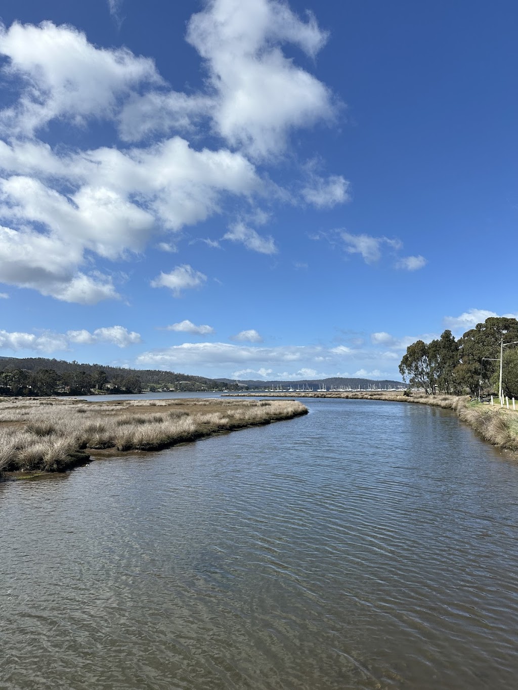 Prana Pranic Healing & Physiotherapy | The Healing Space, 3 Lymington Rd, Cygnet TAS 7112, Australia | Phone: 0400 810 038