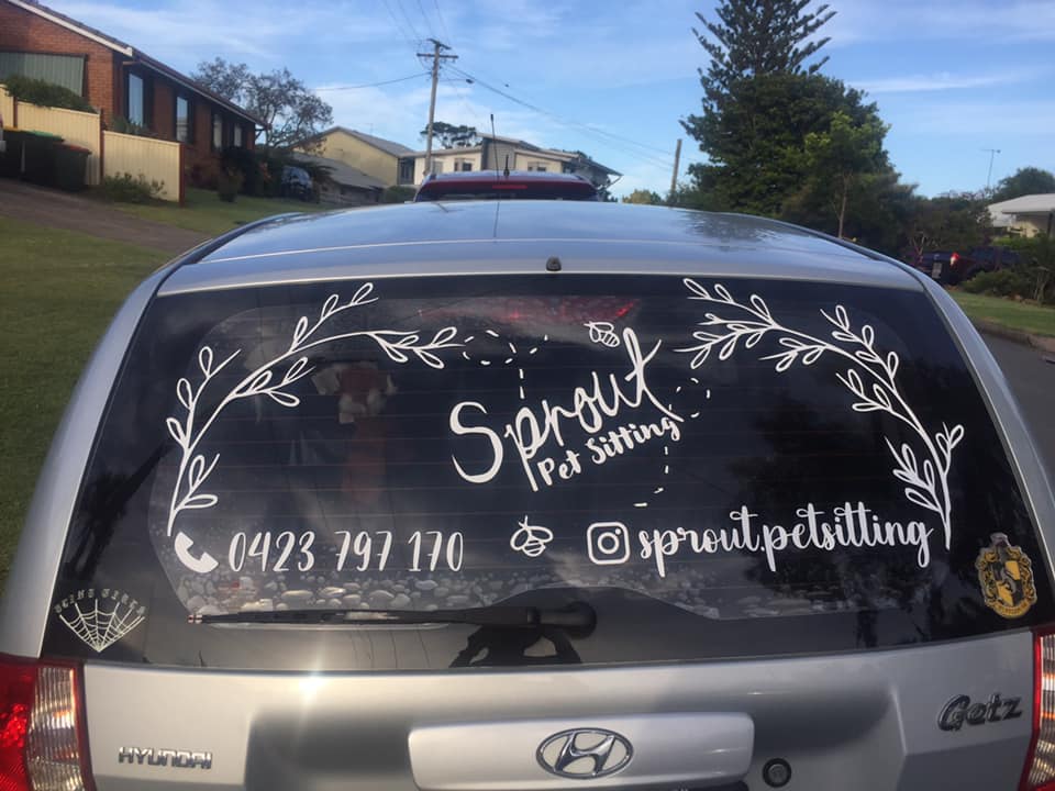 Sprout Pet Sitting | 20 Vulcan St, Kingscliff NSW 2487, Australia | Phone: 0423 797 170