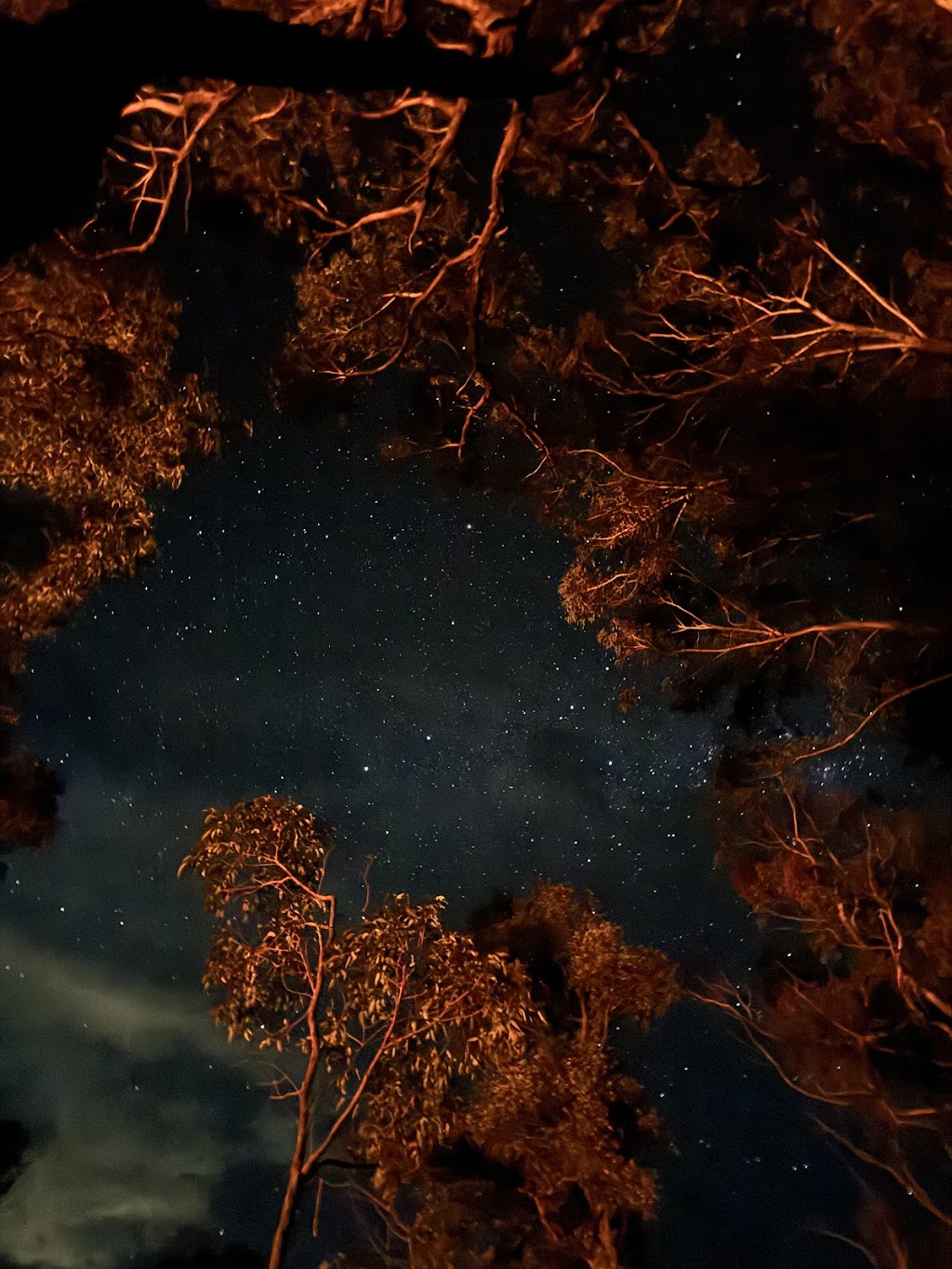 Wollemi Ridge Retreats | 3120 Bells Line of Rd, Bilpin NSW 2758, Australia | Phone: 0424 240 152